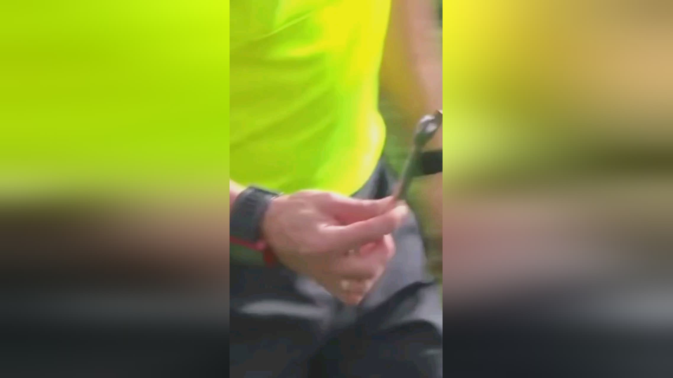 和引进